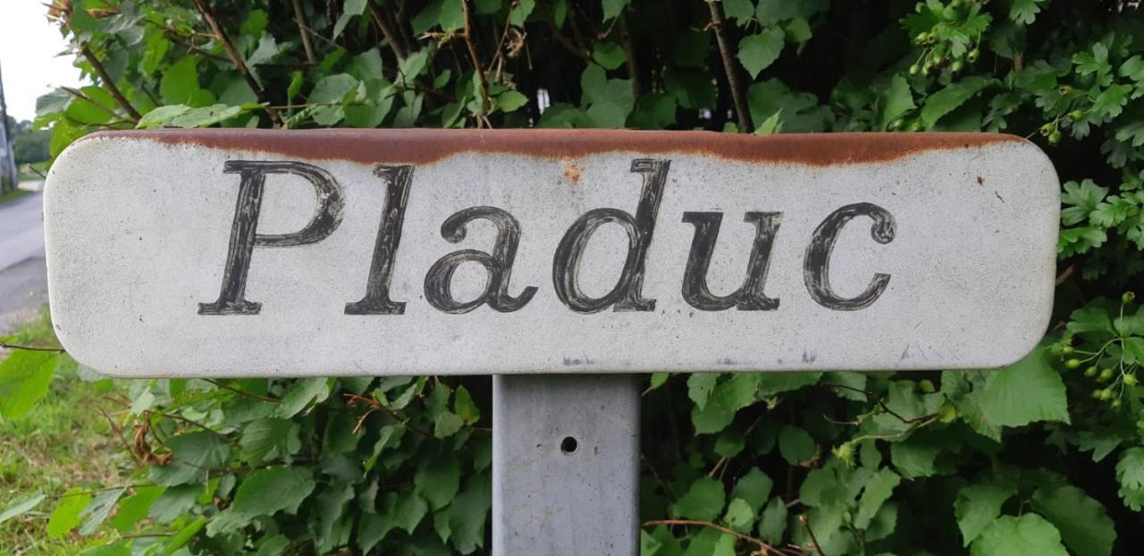 Domaine De Pladuc Bed & Breakfast Lachaise Bagian luar foto