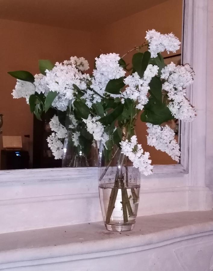Domaine De Pladuc Bed & Breakfast Lachaise Bagian luar foto