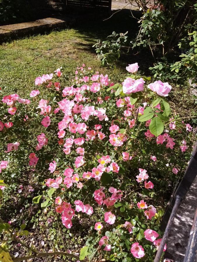 Domaine De Pladuc Bed & Breakfast Lachaise Bagian luar foto