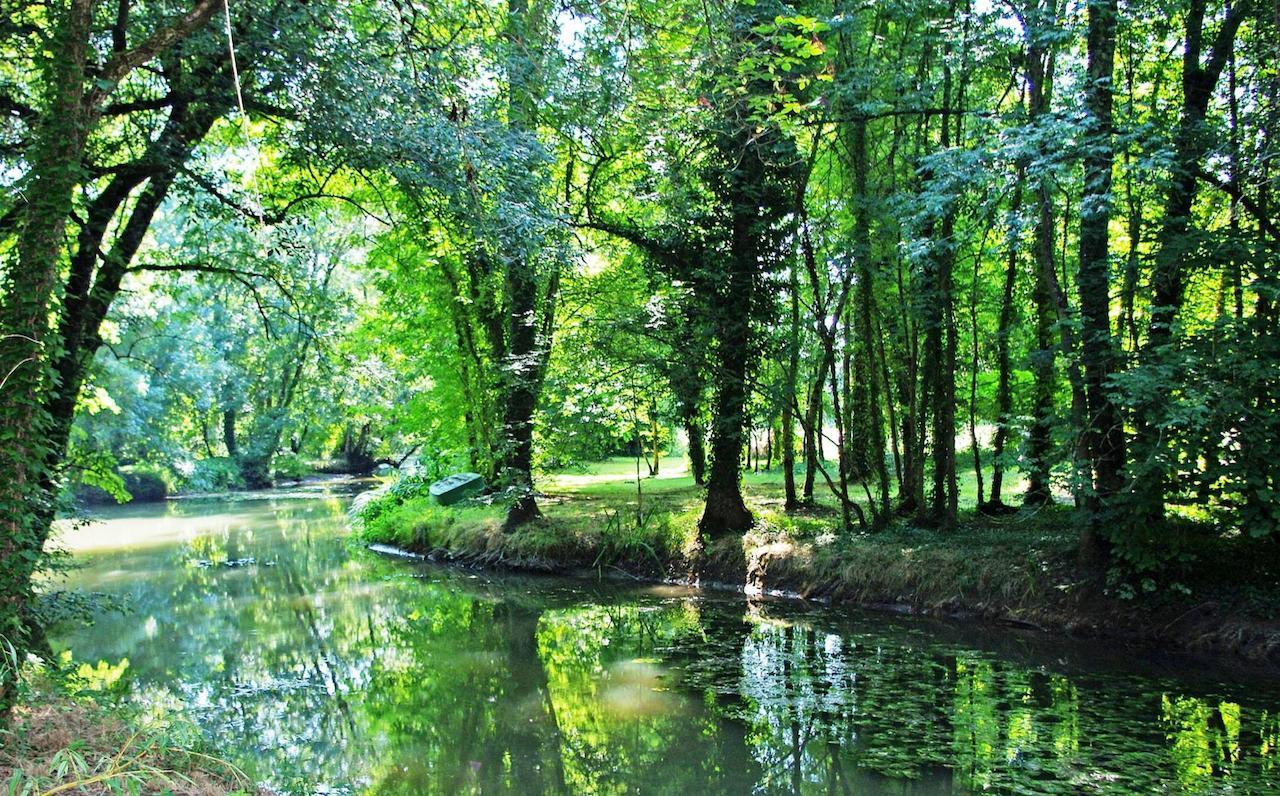 Domaine De Pladuc Bed & Breakfast Lachaise Bagian luar foto