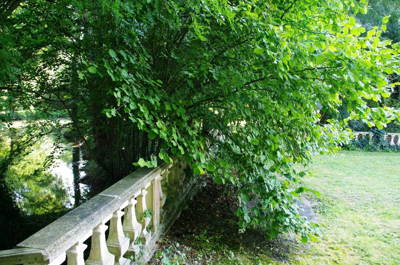 Domaine De Pladuc Bed & Breakfast Lachaise Bagian luar foto